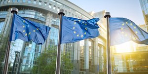 Φωτογραφία: SHUTTERSTOCK