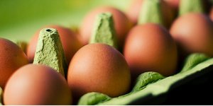 Φωτογραφία: Pexels