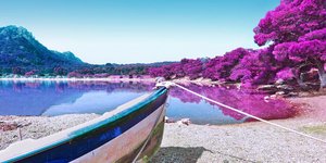 Φωτογραφία: Shutterstock