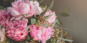 Φωτογραφία: Pexels