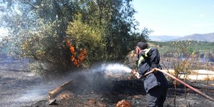 Φωτογραφία: ΠΑΠΑΔΟΠΟΥΛΟΣ ΒΑΣΙΛΗΣ/Eurokinissi/Αρχείο