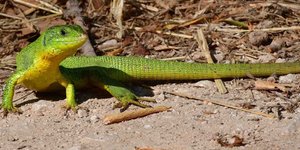 Φωτογραφία: Studio B&G