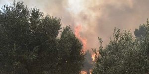 Φωτογραφία αρχείου: Eurokinissi