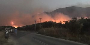 ΦΩΤΟΓΡΑΦΙΑ: lakonikos.gr 