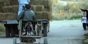 Φωτογραφία: Eurokinissi