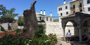 ΦΩΤΟΓΡΑΦΙΑ: ΤΑΧΥΔΡΟΜΟΣ