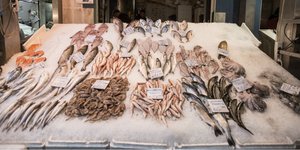 ΦΩΤΟΓΡΑΦΙΑ: INTIME NEWS /ΤΟΣΙΔΗΣ ΔΗΜΗΤΡΗΣ