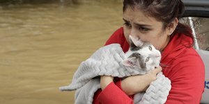 φωτογραφίες: AP images