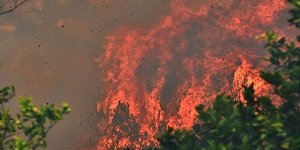 ΦΩΤΟΓΡΑΦΙΑ ΑΡΧΕΙΟΥ: ΑΠΕ-ΜΠΕ