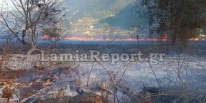 Η χώρα καίγεται και η Υπηρεσία Δημοσίων Έργων αφήνει κομμένα κλαδιά στον παράδρομο της ΠΑΘΕ