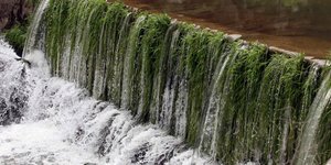 Εγκρίθηκε μελέτη για την ποιότητα του νερού στη λεκάνη του Ασωπού/ Φωτογραφία: ΜΠΟΛΑΡΗ ΤΑΤΙΑΝΑ/Eurokinissi