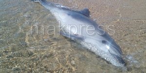Πηγή φωτογραφίας: makpress