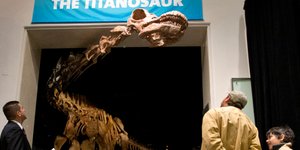 ΦΩΤΟΓΡΑΦΙΕΣ: ΑΡ