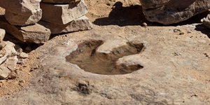 Φωτογραφία Αρχείου: Wikimedia