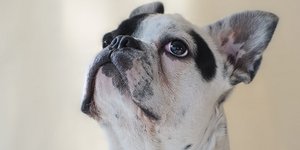 φωτογραφία: pixabay.com