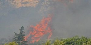 ΦΩΤΟΓΡΑΦΙΑ: tharrosnews.gr