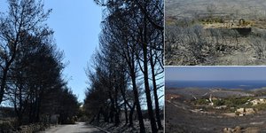 εφγη
