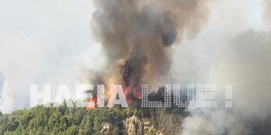 Τέσσερα μέτωπα στο νομό Ηλείας/ Φωτογραφία: ilialive.gr