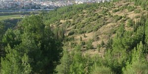 ΦΩΤΟΓΡΑΦΙΑ ΑΡΧΕΙΟΥ: EUROKINISSI