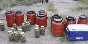 Δύο συλλήψεις για «εργαστήριο» υδροπονικής καλλιέργειας κάνναβης/ Φωτογραφία: elas