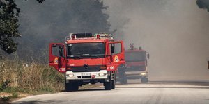 Φωτιές σε δασική έκταση στην Ηλεία