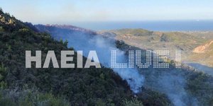 Πυρκαγιά σε δασική περιοχή της Αρήνης προς Ροδινά / Φωτογραφία: Ilialive