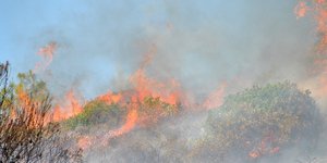 ΦΩΤΟΓΡΑΦΙΑ ΑΡΧΕΙΟΥ: EUROKINISSI