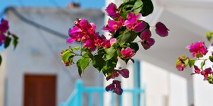 Φωτογραφία: Shutterstock
