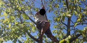 Φωτογραφία αρχείου: Tempo 24