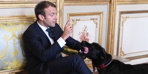 Ο Γάλλος πρόεδρος Μακρόν με το σκύλο του