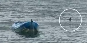 Ο καρχαρίας ακολουθούσε το κανό επί δέκα λεπτά με την επίθεση στην έφηβη (Φωτογραφία: YouTube/9News)