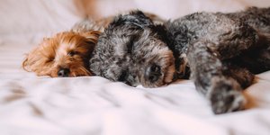 Φωτογραφία: Pexels