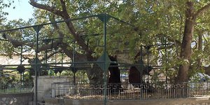 Με πρωτοβουλία του