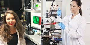 Δόθηκαν 30 στο σύνολο