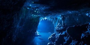 Τα σπήλαια Waitomo στη Νέα Ζηλανδία. Πηγή φωο: Facebook/ WaitomoGlowwormCaves