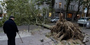 Θυελλώδεις άνεμοι 115 χλμ την ώρα ξερίζωσαν δέντρα και στέγες σπιτιών (Φωτογραφία: ΑΡ)