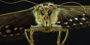 Εχει σταλεί στη Ρωσία για ανάλυση