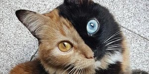 Φωτογραφία: Instagram