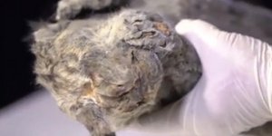 Φωτογραφία: Βίντεο Daily Mail