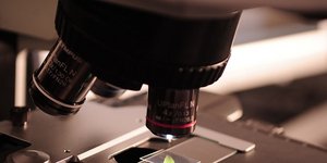Μπορεί να λειτουργεί ακόμη κι αν κοπεί ή βυθιστεί σε θαλασσινό νερό