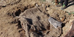 Μια πρωτοποριακή παρέμβαση