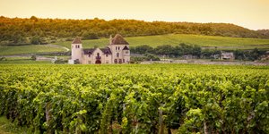 Η Βουργουνδία είναι μοναδικός προορισμός για ηρεμάι και χαλάρωση. Φωτογραφία: Shutterstock 