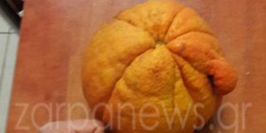 Πηγή φωτογραφιών: zarpanews