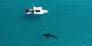 Φωτογραφία: Dave Riggs/ Facebook