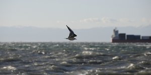 Φωτογραφία: SOOC