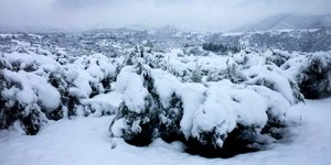 Φωτογραφία αρχείου: Eurokinissi