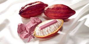 Η νέα ρόζ Kit Kat κάνει το ντεμπούτο της στην Ιαπωνία. Φωτογραφία: Barry Callebaut