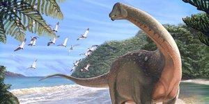 Πηγή: Andrew McAfee-Carnegie Museum of Natural History