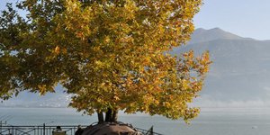 Αλλαγές στο Πανεπιστήμιο Ηπείρου -Οι νέες σχολές και τμήματα /Φωτογραφία: Ιntime news