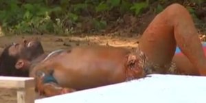 Survivor 2: Σοβαρός τραυματισμός παίκτη των Μαχητών